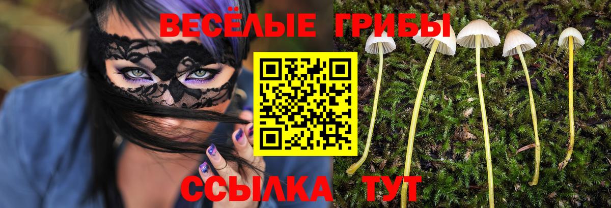Псилоцибиновые грибы Psilocybe  Вход с VPN  Артём 